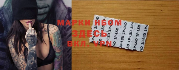 СК Алексин