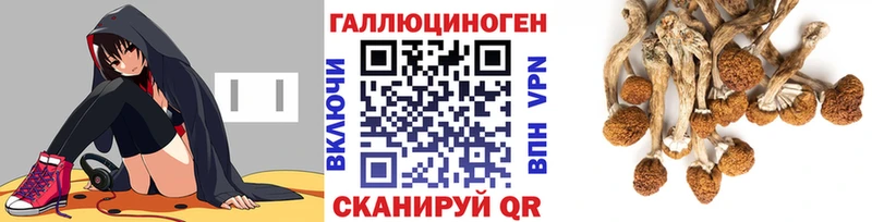 Галлюциногенные грибы Cubensis  Лахденпохья 